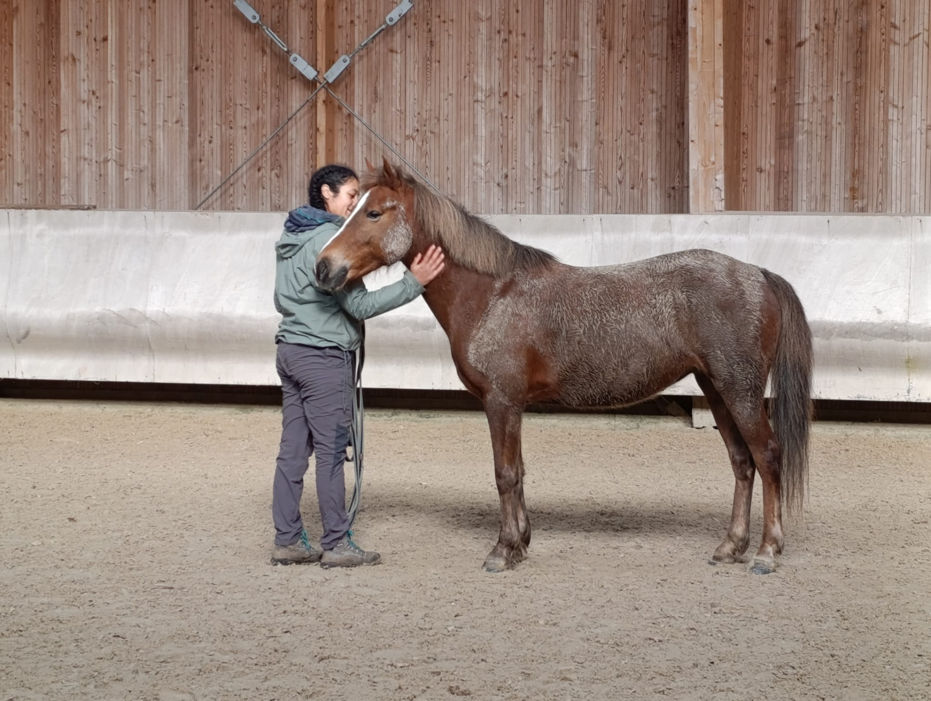 Marion Ardi en manège avec un cheval alezan